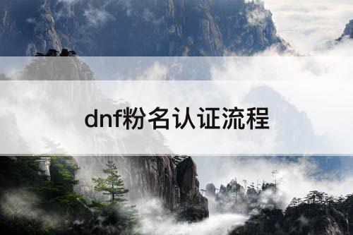 dnf粉名认证流程
