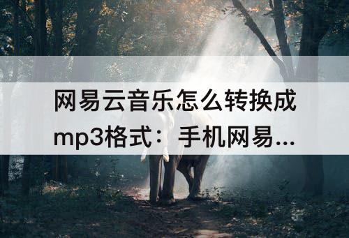 网易云音乐怎么转换成mp3格式：手机网易云音乐怎么转换成mp3格式