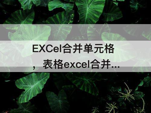 EXCel合并单元格，表格excel合并单元格快捷键