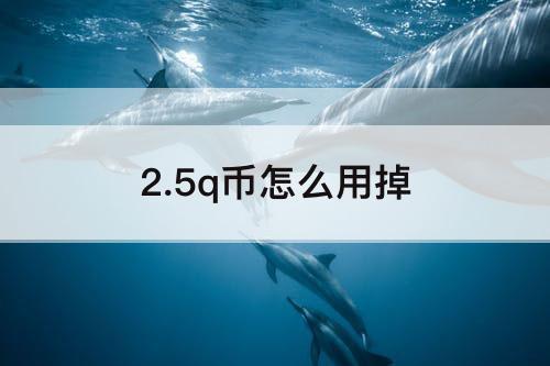 2.5q币怎么用掉