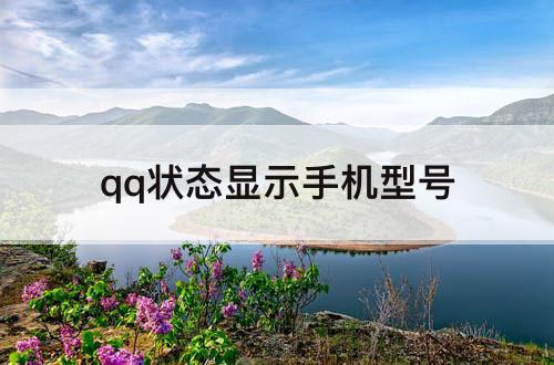 qq状态显示手机型号