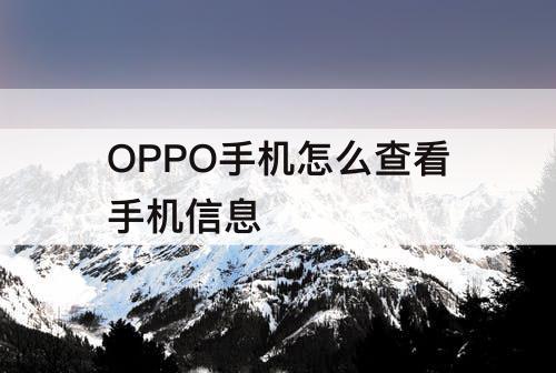 OPPO手机怎么查看手机信息