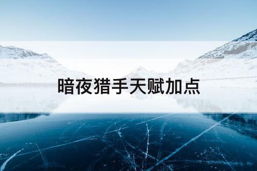 暗夜猎手天赋加点