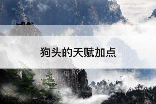狗头的天赋加点
