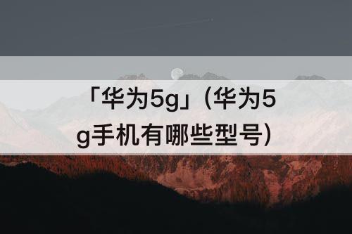 「华为5g」(华为5g手机有哪些型号)