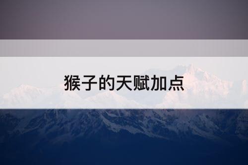 猴子的天赋加点