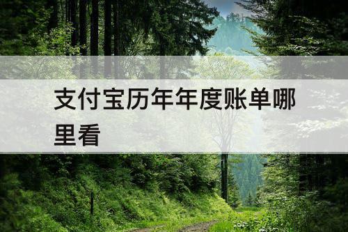 支付宝历年年度账单哪里看