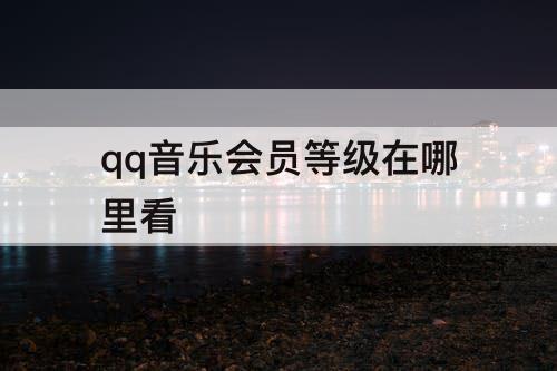qq音乐会员等级在哪里看