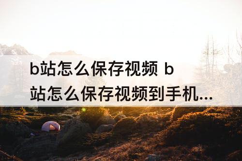 b站怎么保存视频 b站怎么保存视频到手机相册