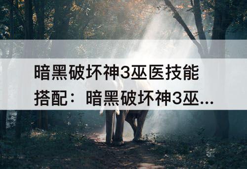 暗黑破坏神3巫医技能搭配：暗黑破坏神3巫医技能搭配24赛季