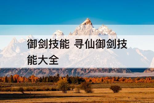 御剑技能 寻仙御剑技能大全