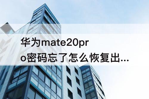 华为mate20pro密码忘了怎么恢复出厂设置