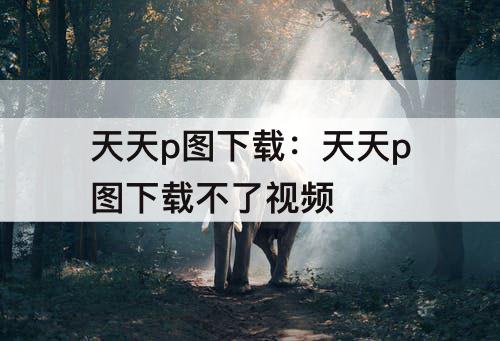 天天p图下载：天天p图下载不了视频