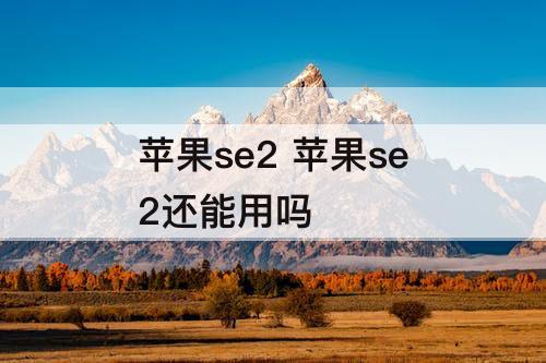 苹果se2 苹果se2还能用吗