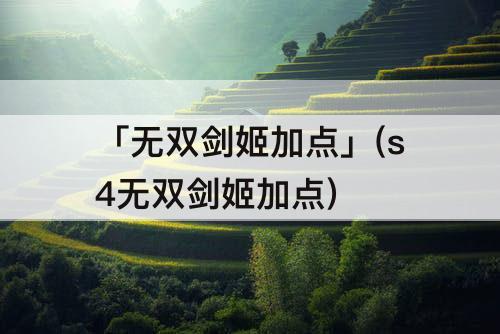 「无双剑姬加点」(s4无双剑姬加点)