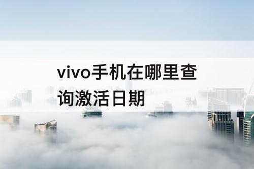 vivo手机在哪里查询激活日期