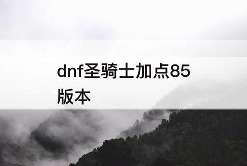dnf圣骑士加点85版本
