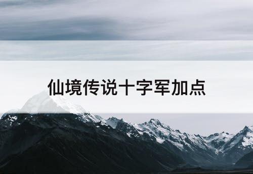 仙境传说十字军加点