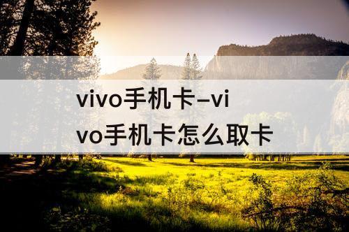 vivo手机卡-vivo手机卡怎么取卡