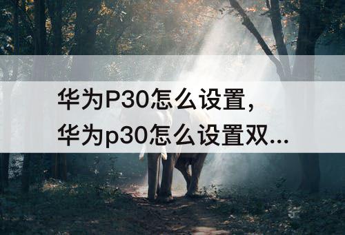 华为P30怎么设置，华为p30怎么设置双时间显示