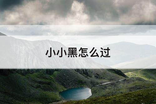 小小黑怎么过