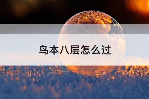 鸟本八层怎么过