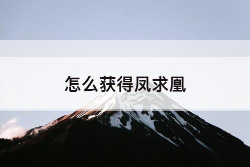 怎么获得凤求凰
