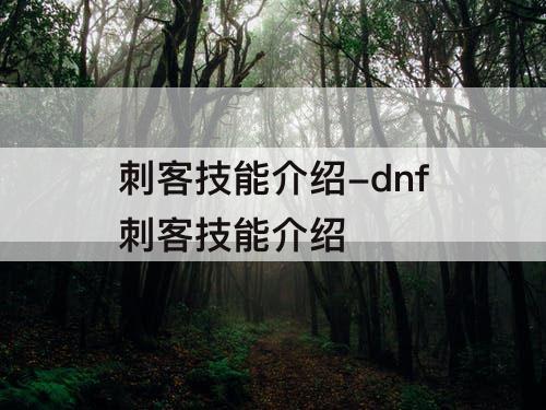 刺客技能介绍-dnf刺客技能介绍