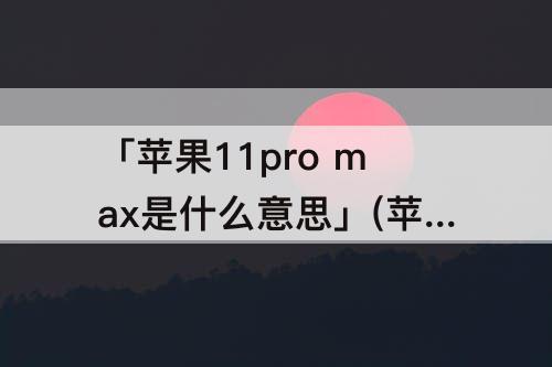 「苹果11pro max是什么意思」(苹果11pro max是什么意思中文)
