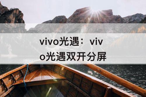 vivo光遇：vivo光遇双开分屏