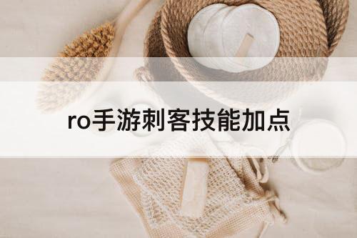 ro手游刺客技能加点