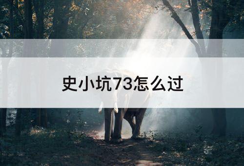 史小坑73怎么过