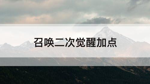 召唤二次觉醒加点