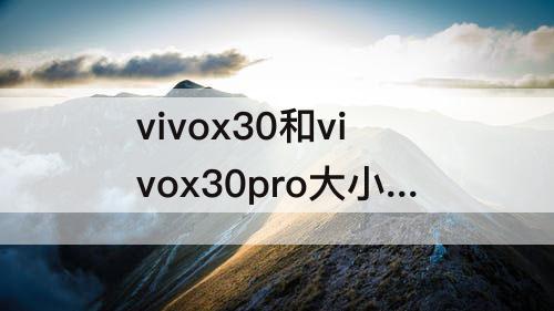 vivox30和vivox30pro大小一样吗