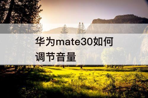 华为mate30如何调节音量