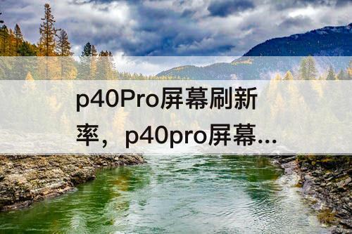 p40Pro屏幕刷新率，p40pro屏幕刷新率多少赫兹