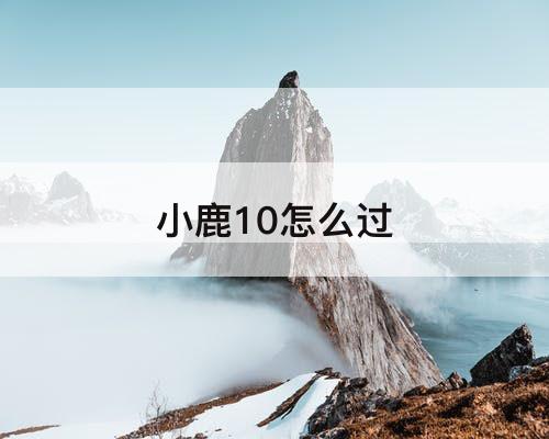 小鹿10怎么过