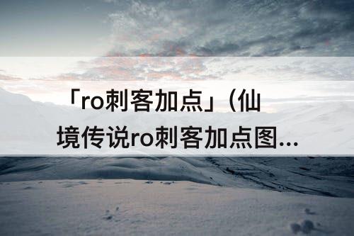 「ro刺客加点」(仙境传说ro刺客加点图)