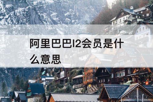 阿里巴巴l2会员是什么意思
