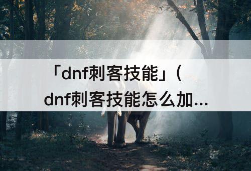 「dnf刺客技能」(dnf刺客技能怎么加点)