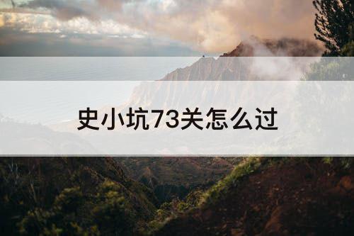 史小坑73关怎么过