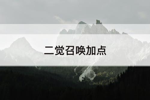 二觉召唤加点