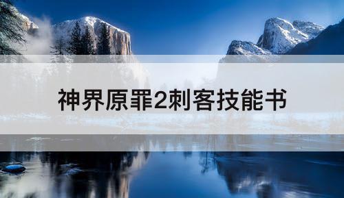 神界原罪2刺客技能书