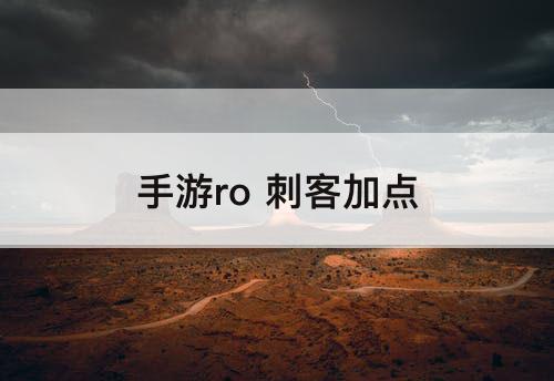 手游ro 刺客加点