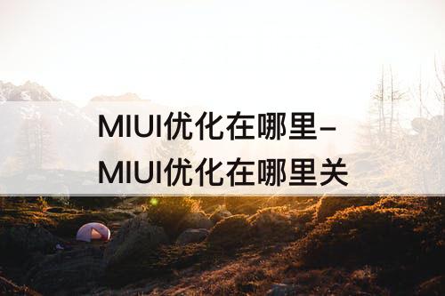 MIUI优化在哪里-MIUI优化在哪里关