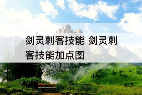 剑灵刺客技能 剑灵刺客技能加点图