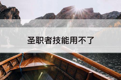 圣职者技能用不了