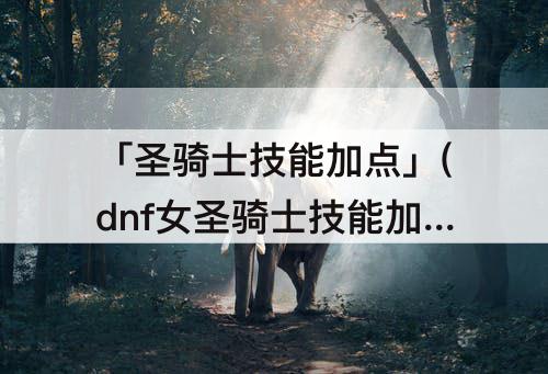 「圣骑士技能加点」(dnf女圣骑士技能加点模拟器)