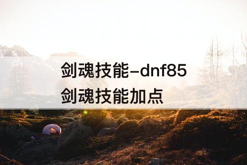 剑魂技能-dnf85剑魂技能加点