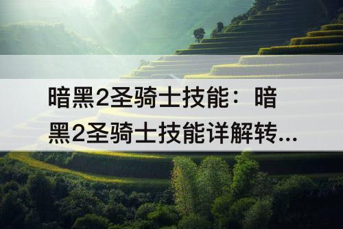 暗黑2圣骑士技能：暗黑2圣骑士技能详解转换